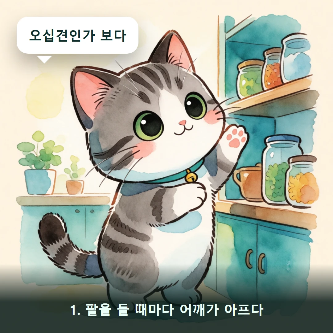 웹툰 1컷 — 1. 팔을 들 때마다 어깨가 아프다 (오십견인가 보다)