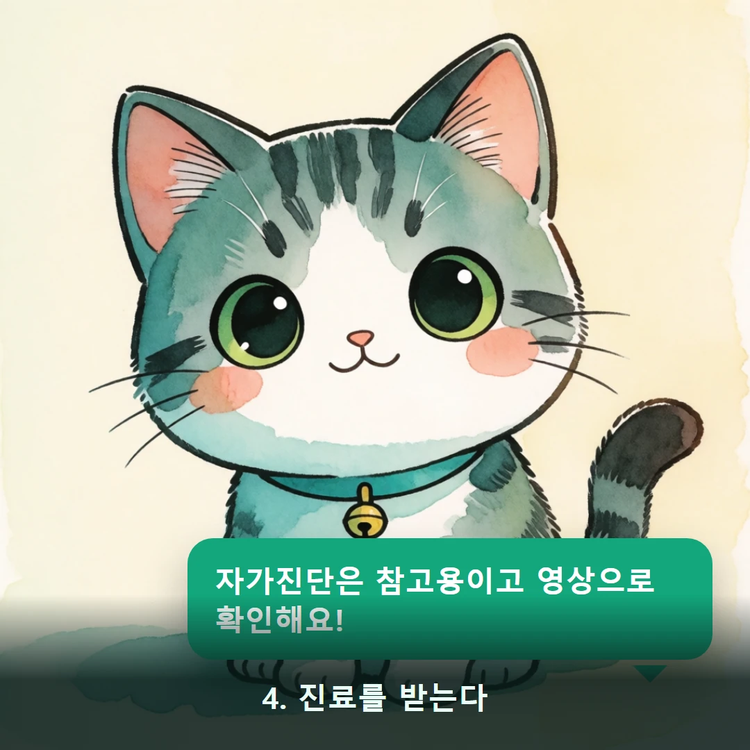 웹툰 4컷 — 4. 진료를 받는다 (자가진단은 참고용이고 영상으로 확인해요!)