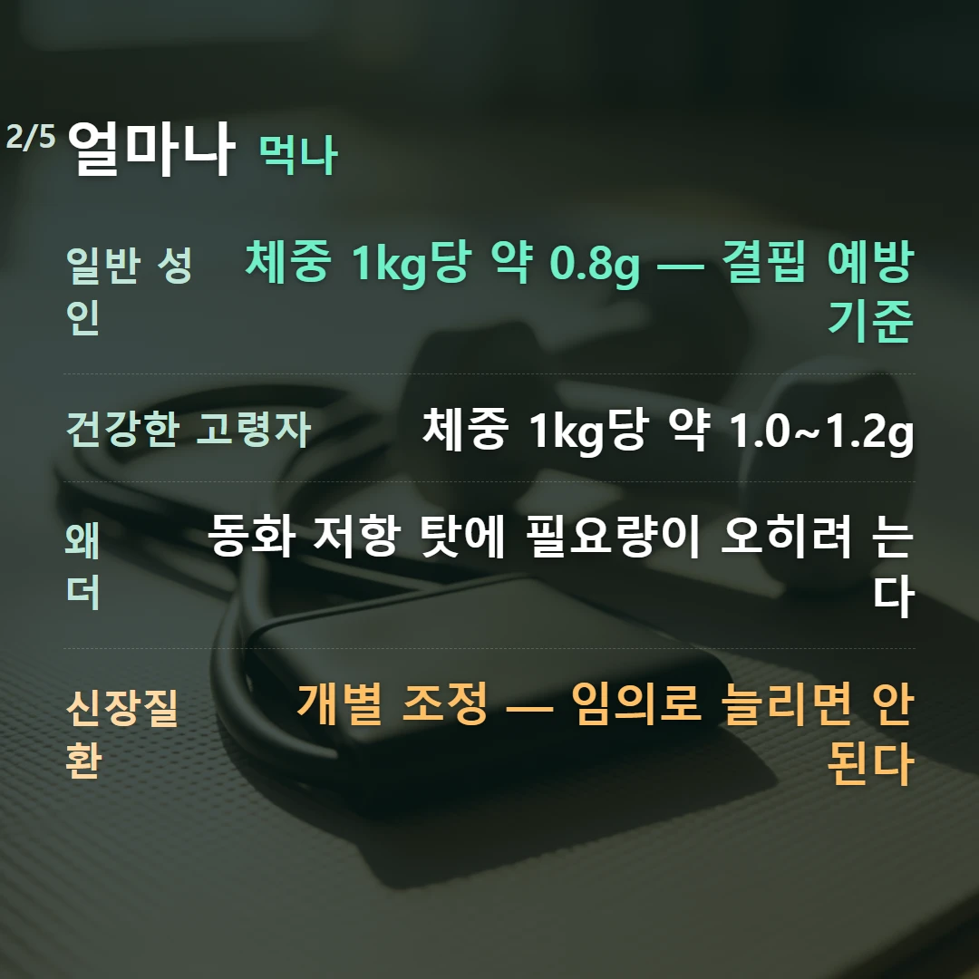 얼마나 먹나 — 일반 성인 체중 1kg당 약 0.8g — 결핍 예방 기준, 건강한 고령자 체중 1kg당 약 1.0~1.2g, 왜 더 동화 저항 탓에 필요량이 오히려 는다, 신장질환 개별 조정 — 임의로 늘리면 안 된다