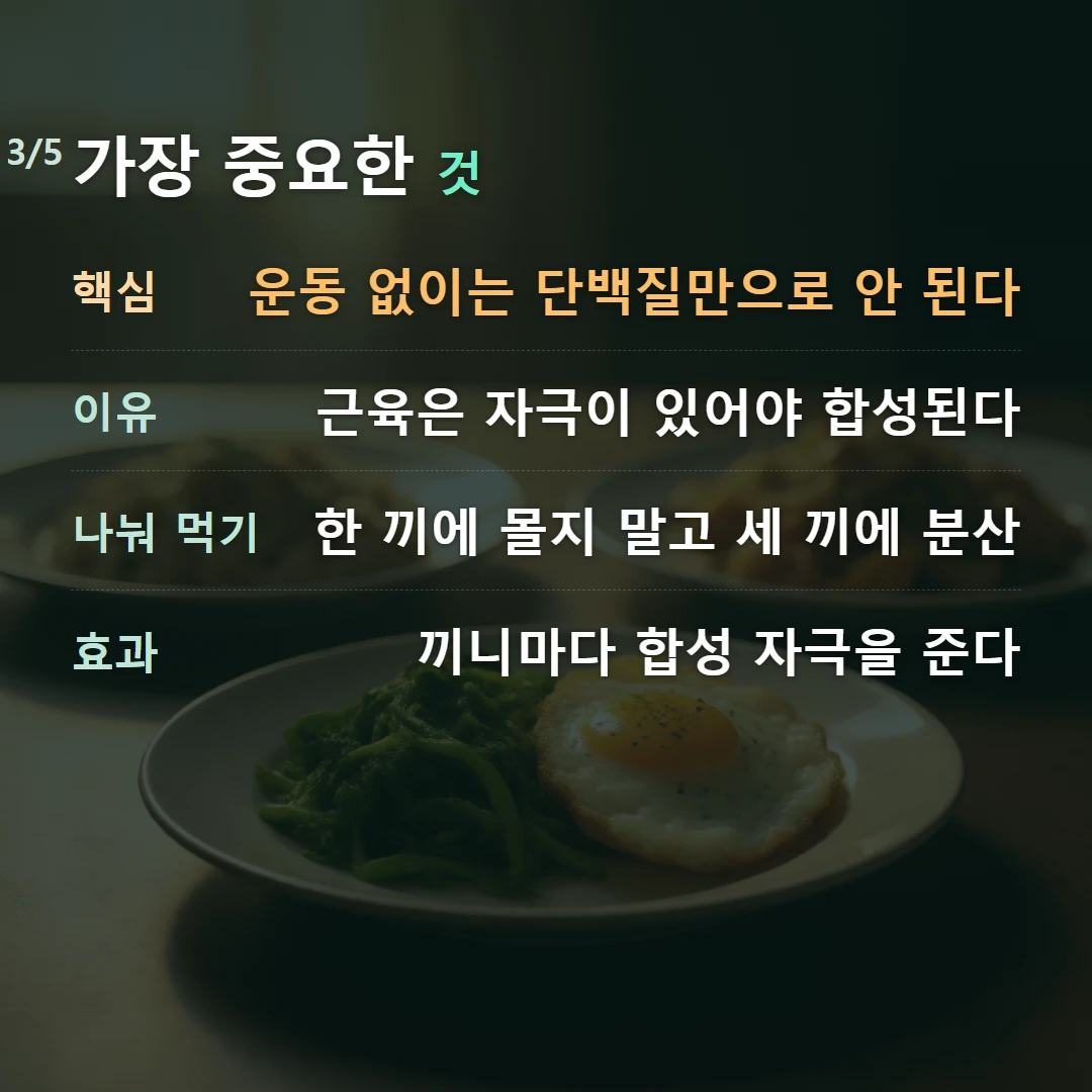 가장 중요한 것 — 핵심 운동 없이는 단백질만으로 안 된다, 이유 근육은 자극이 있어야 합성된다, 나눠 먹기 한 끼에 몰지 말고 세 끼에 분산, 효과 끼니마다 합성 자극을 준다