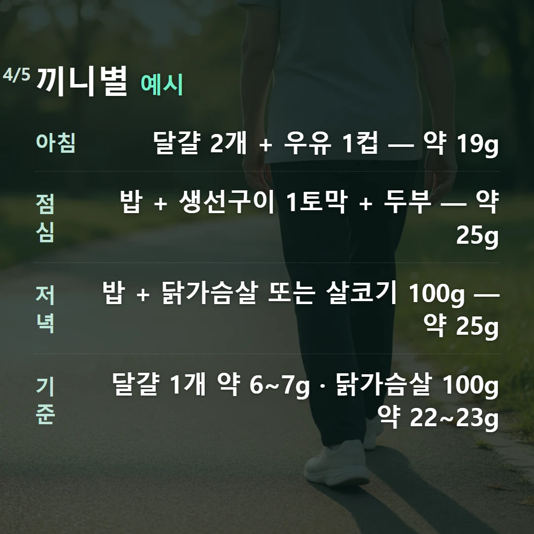 끼니별 예시 — 아침 달걀 2개 + 우유 1컵 — 약 19g, 점심 밥 + 생선구이 1토막 + 두부 — 약 25g, 저녁 밥 + 닭가슴살 또는 살코기 100g — 약 25g, 기준 달걀 1개 약 6~7g · 닭가슴살 100g 약 22~23g