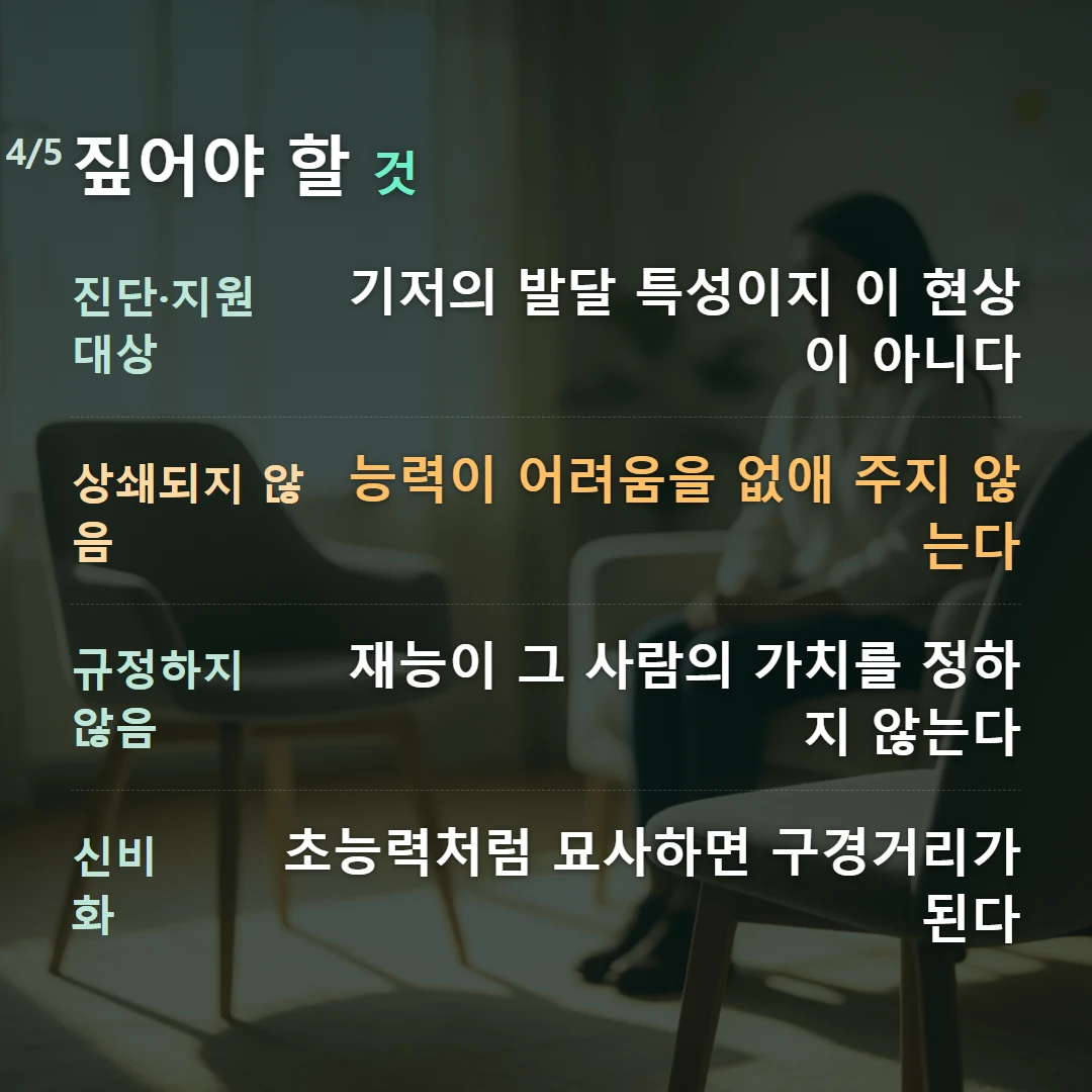 짚어야 할 것 — 진단·지원 대상 기저의 발달 특성이지 이 현상이 아니다, 상쇄되지 않음 능력이 어려움을 없애 주지 않는다, 규정하지 않음 재능이 그 사람의 가치를 정하지 않는다, 신비화 초능력처럼 묘사하면 구경거리가 된다
