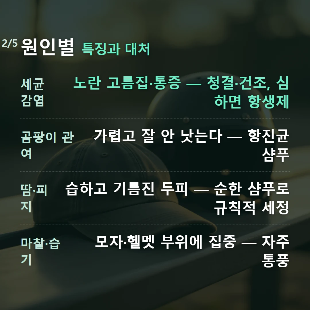 원인별 특징과 대처 — 세균 감염 노란 고름집·통증 — 청결·건조, 심하면 항생제, 곰팡이 관여 가렵고 잘 안 낫는다 — 항진균 샴푸, 땀·피지 습하고 기름진 두피 — 순한 샴푸로 규칙적 세정, 마찰·습기 모자·헬멧 부위에 집중 — 자주 통풍
