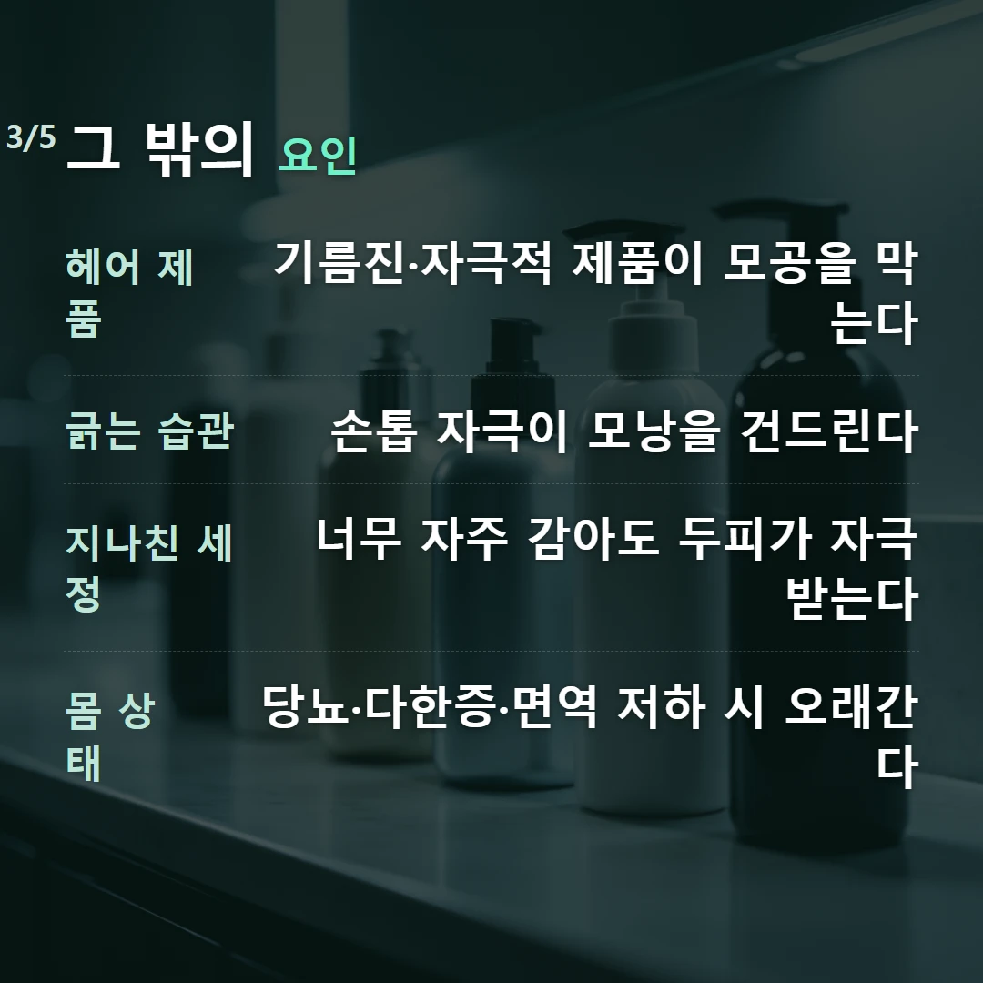 그 밖의 요인 — 헤어 제품 기름진·자극적 제품이 모공을 막는다, 긁는 습관 손톱 자극이 모낭을 건드린다, 지나친 세정 너무 자주 감아도 두피가 자극받는다, 몸 상태 당뇨·다한증·면역 저하 시 오래간다