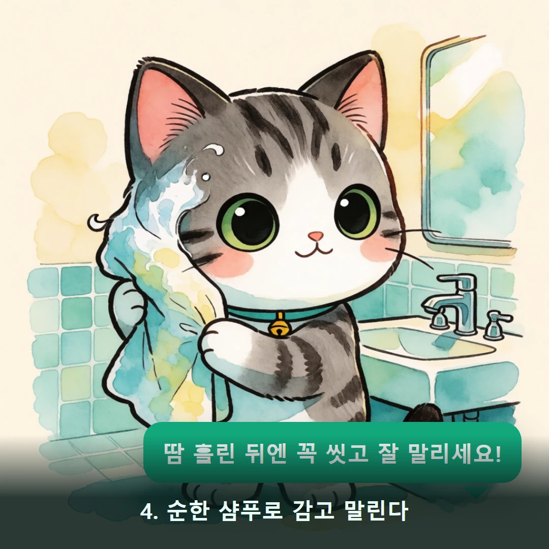 웹툰 4컷 — 4. 순한 샴푸로 감고 말린다 (땀 흘린 뒤엔 꼭 씻고 잘 말리세요!)