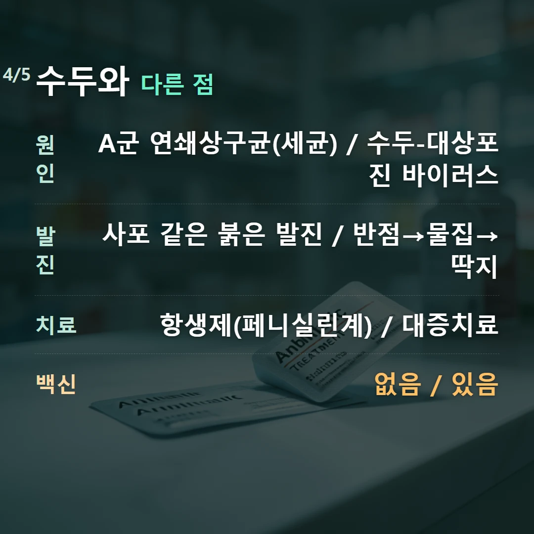 수두와 다른 점 — 원인 A군 연쇄상구균(세균) / 수두-대상포진 바이러스, 발진 사포 같은 붉은 발진 / 반점→물집→딱지, 치료 항생제(페니실린계) / 대증치료, 백신 없음 / 있음