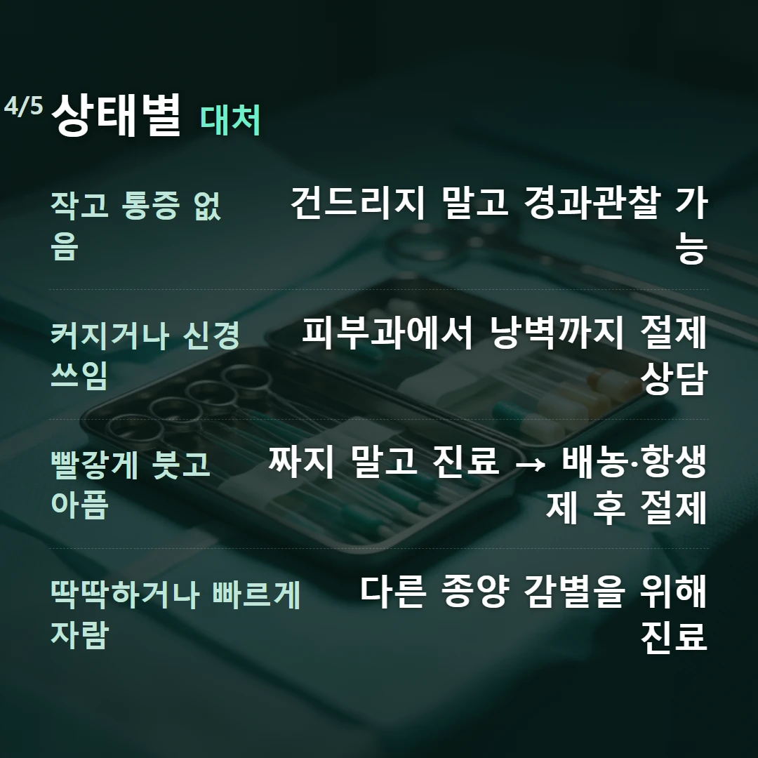 상태별 대처 — 작고 통증 없음 건드리지 말고 경과관찰 가능, 커지거나 신경 쓰임 피부과에서 낭벽까지 절제 상담, 빨갛게 붓고 아픔 짜지 말고 진료 → 배농·항생제 후 절제, 딱딱하거나 빠르게 자람 다른 종양 감별을 위해 진료