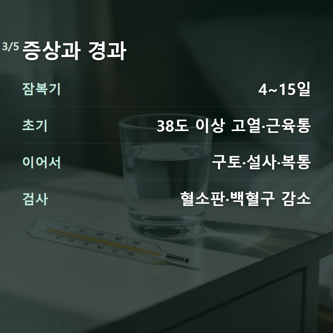 증상과 경과 — 잠복기 4~15일, 초기 38도 이상 고열·근육통, 이어서 구토·설사·복통, 검사 혈소판·백혈구 감소