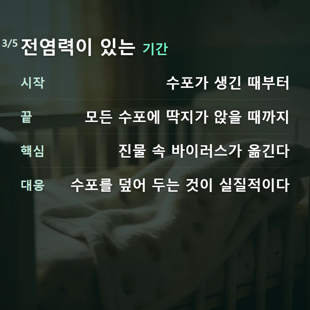 전염력이 있는 기간 — 시작 수포가 생긴 때부터, 끝 모든 수포에 딱지가 앉을 때까지, 핵심 진물 속 바이러스가 옮긴다, 대응 수포를 덮어 두는 것이 실질적이다