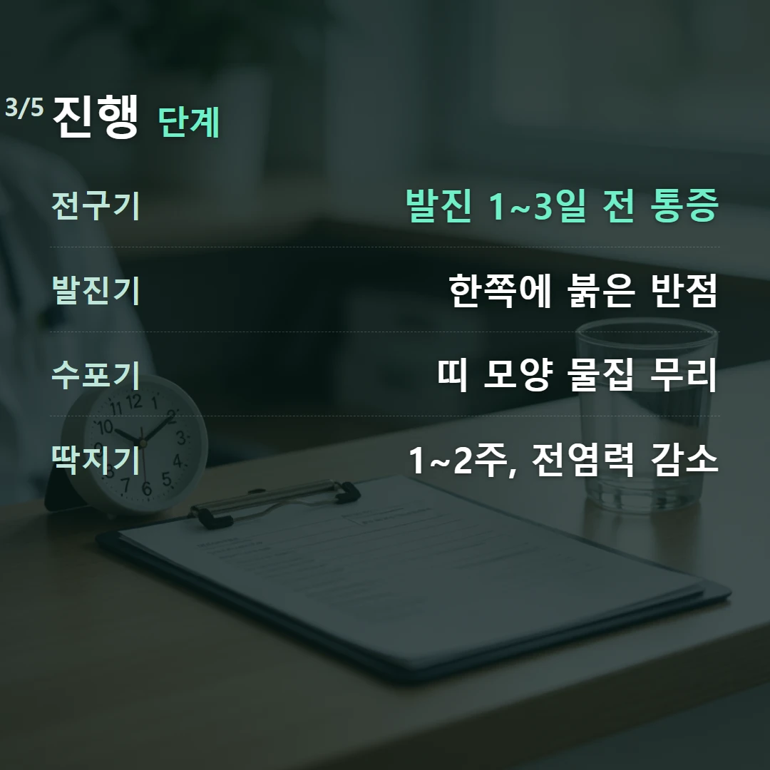 진행 단계 — 전구기 발진 1~3일 전 통증, 발진기 한쪽에 붉은 반점, 수포기 띠 모양 물집 무리, 딱지기 1~2주, 전염력 감소