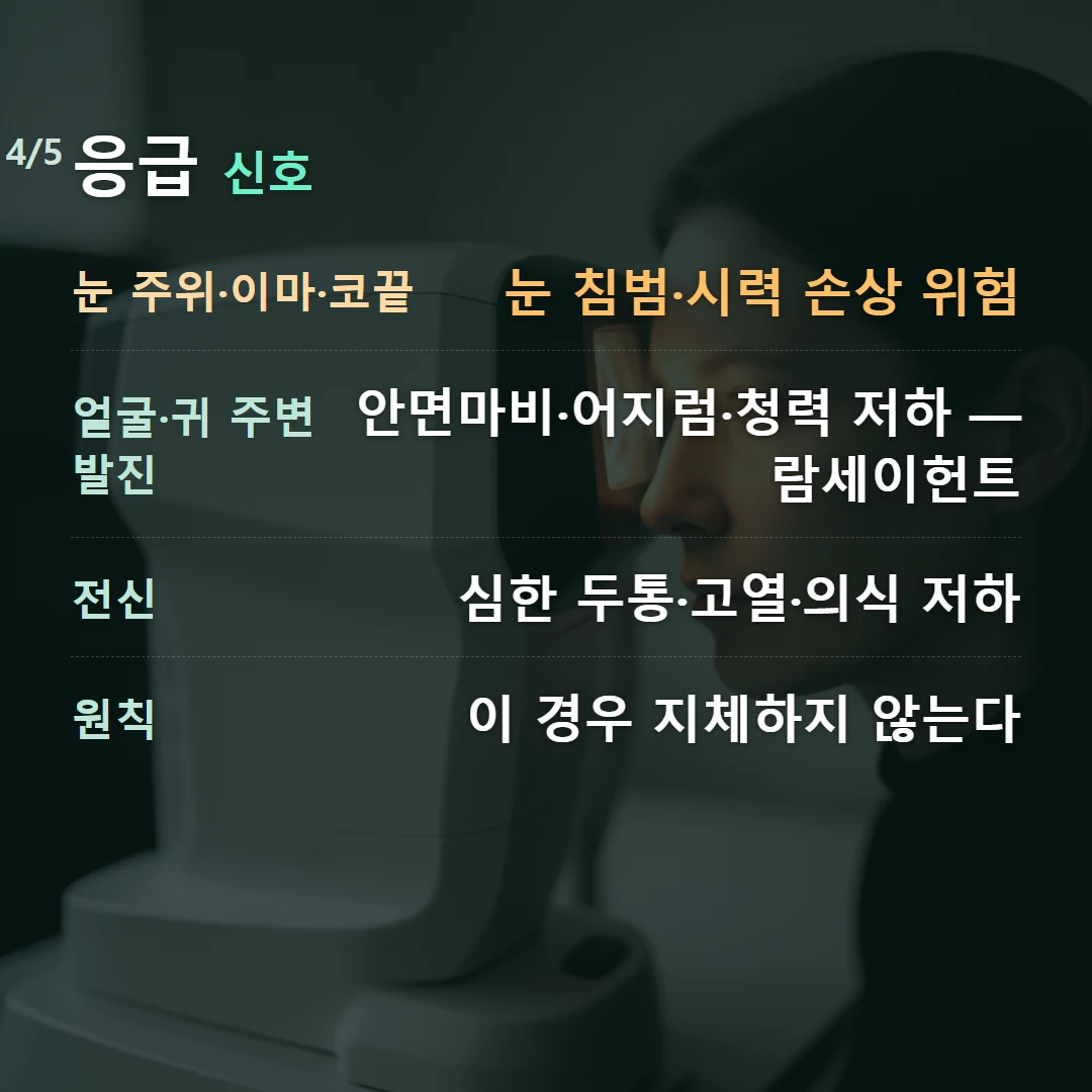 응급 신호 — 눈 주위·이마·코끝 눈 침범·시력 손상 위험, 얼굴·귀 주변 발진 안면마비·어지럼·청력 저하 — 람세이헌트, 전신 심한 두통·고열·의식 저하, 원칙 이 경우 지체하지 않는다