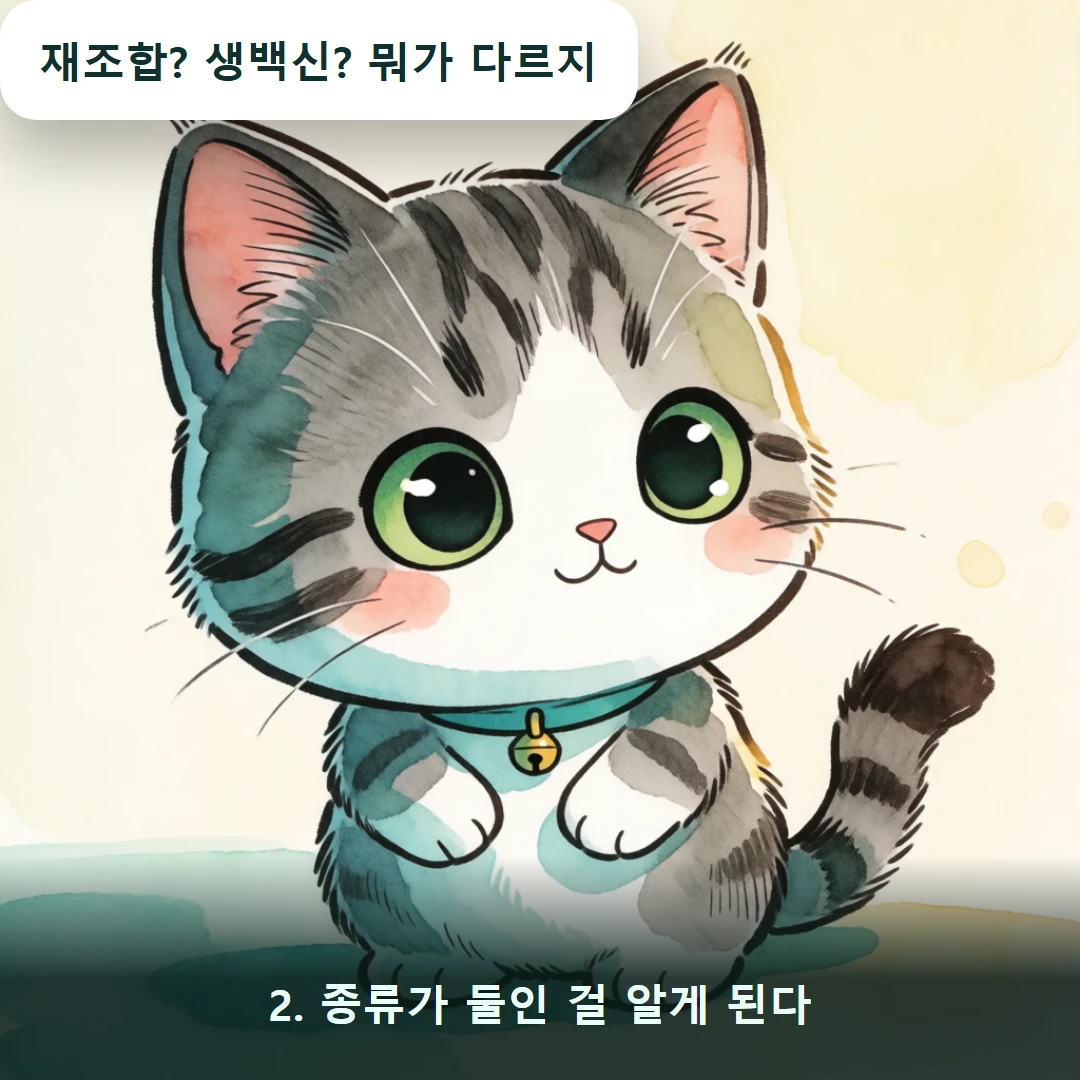웹툰 2컷 — 2. 종류가 둘인 걸 알게 된다 (재조합? 생백신? 뭐가 다르지)