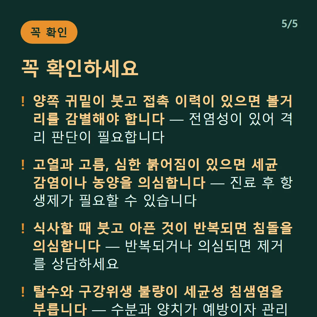 꼭 확인하세요 — 양쪽 귀밑이 붓고 접촉 이력이 있으면 볼거리를 감별해야 합니다 — 전염성이 있어 격리 판단이 필요합니다 / 고열과 고름, 심한 붉어짐이 있으면 세균 감염이나 농양을 의심합니다 — 진료 후 항생제가 필요할 수 있습니다 / 식사할 때 붓고 아픈 것이 반복되면 침돌을 의심합니다 — 반복되거나 의심되면 제거를 상담하세요 / 탈수와 구강위생 불량이 세균성 침샘염을 부릅니다 — 수분과 양치가 예방이자 관리입니다