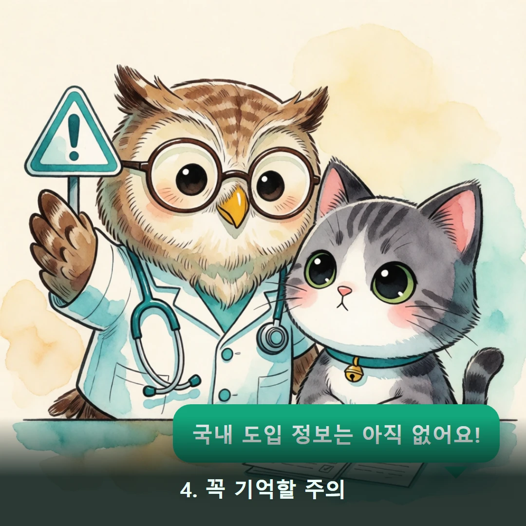 웹툰 4컷 — 4. 꼭 기억할 주의 (국내 도입 정보는 아직 없어요!)
