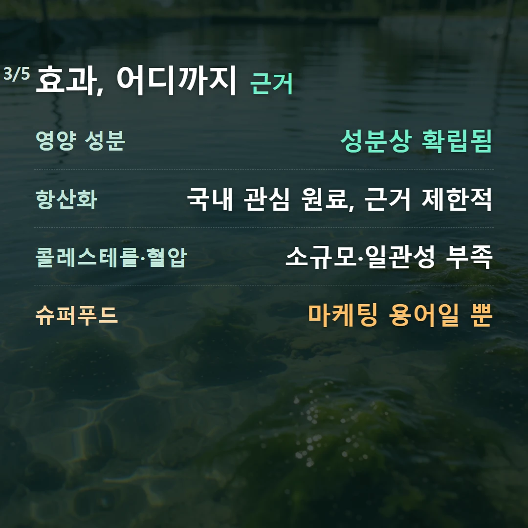 효과, 어디까지 근거 — 영양 성분 성분상 확립됨, 항산화 국내 관심 원료, 근거 제한적, 콜레스테롤·혈압 소규모·일관성 부족, 슈퍼푸드 마케팅 용어일 뿐
