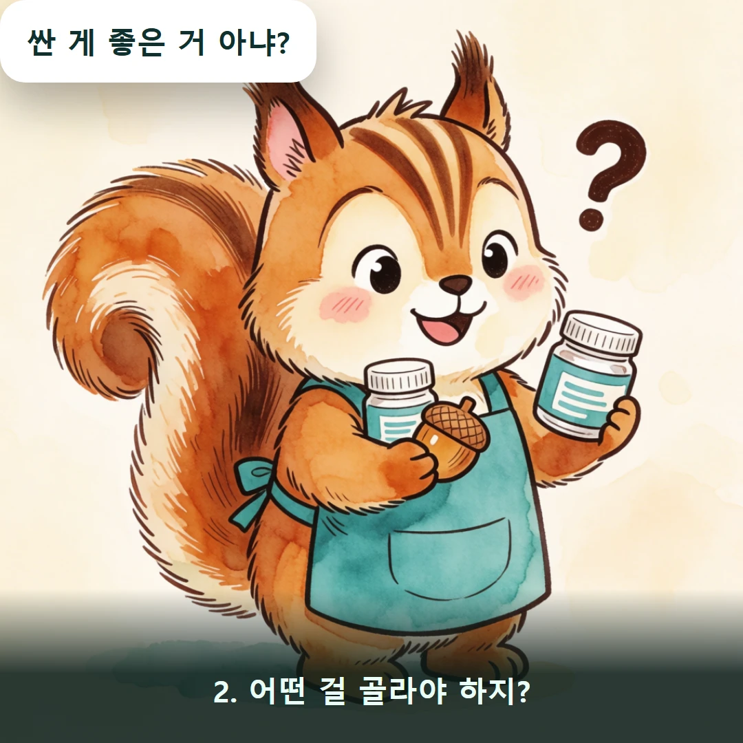 웹툰 2컷 — 2. 어떤 걸 골라야 하지? (싼 게 좋은 거 아냐?)