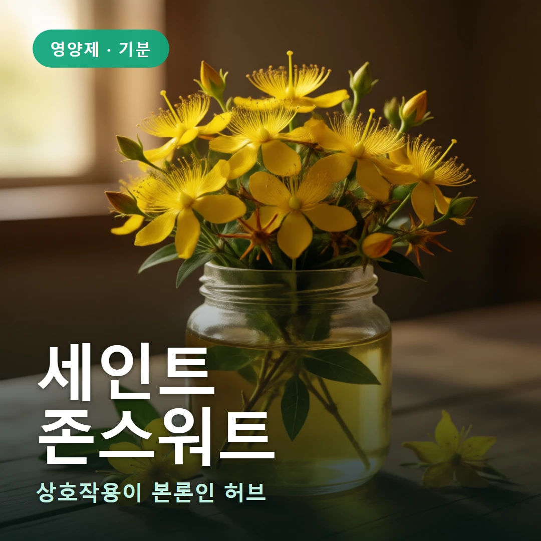 세인트존스워트 요약 표지 — 상호작용이 본론인 허브