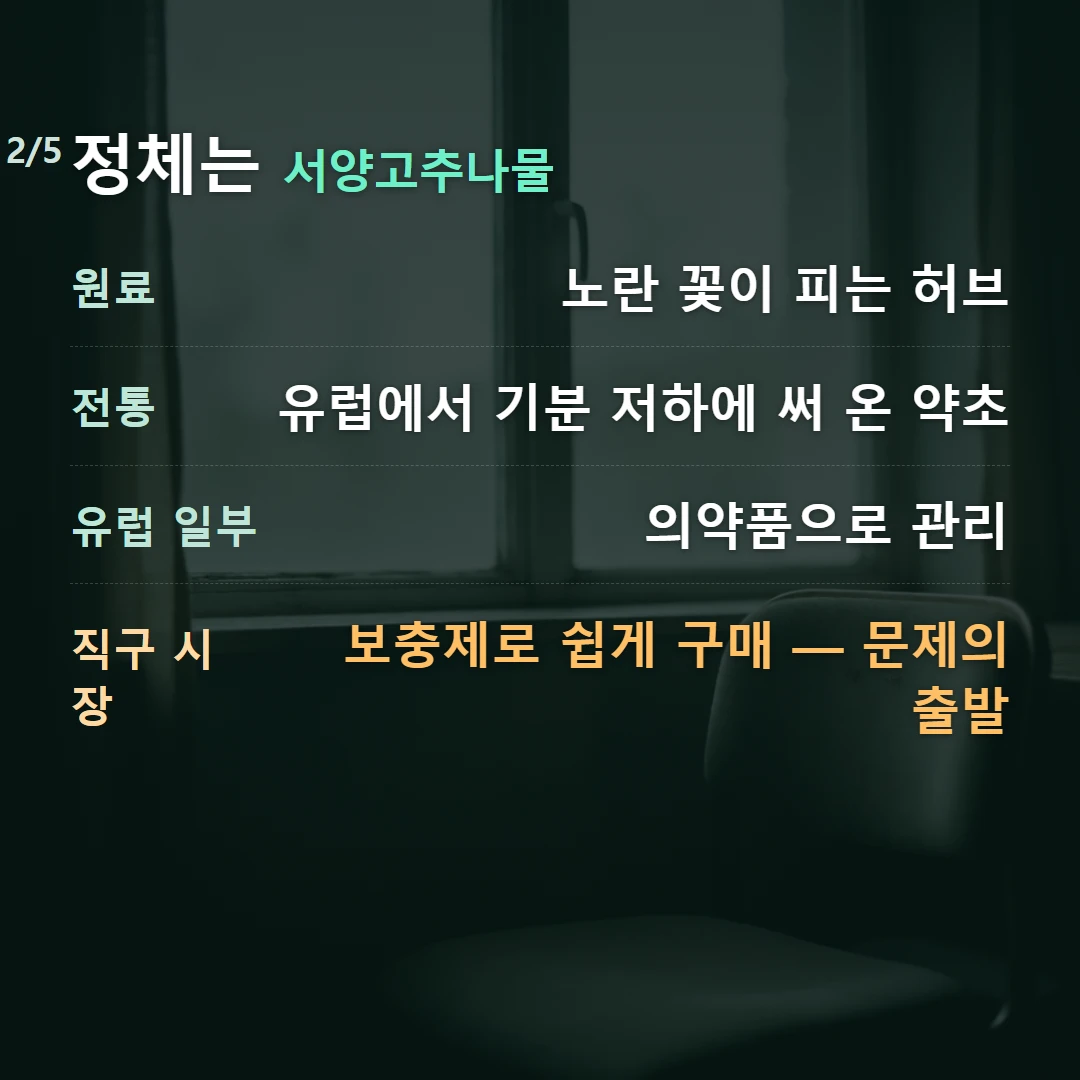 정체는 서양고추나물 — 원료 노란 꽃이 피는 허브, 전통 유럽에서 기분 저하에 써 온 약초, 유럽 일부 의약품으로 관리, 직구 시장 보충제로 쉽게 구매 — 문제의 출발