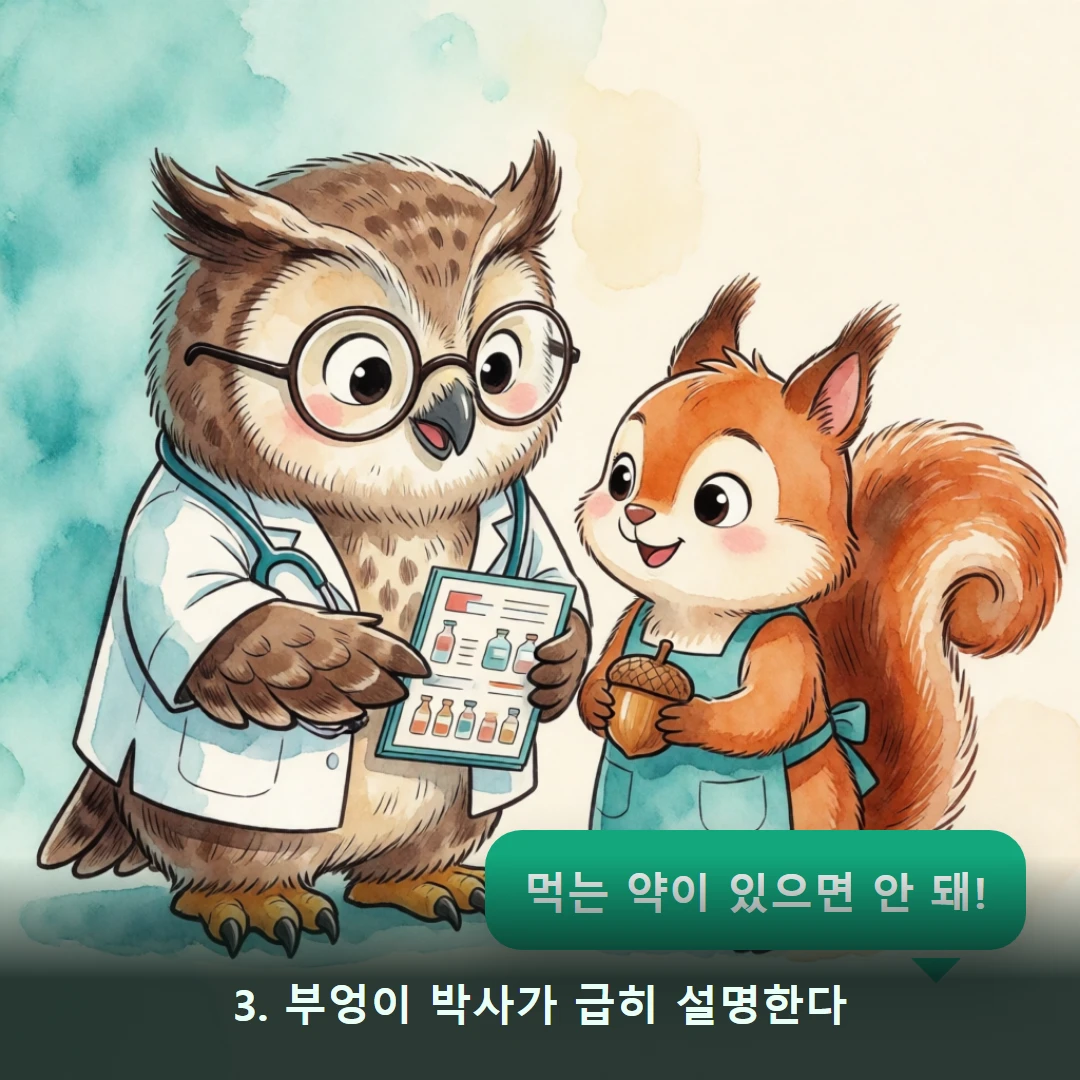 웹툰 3컷 — 3. 부엉이 박사가 급히 설명한다 (먹는 약이 있으면 안 돼!)