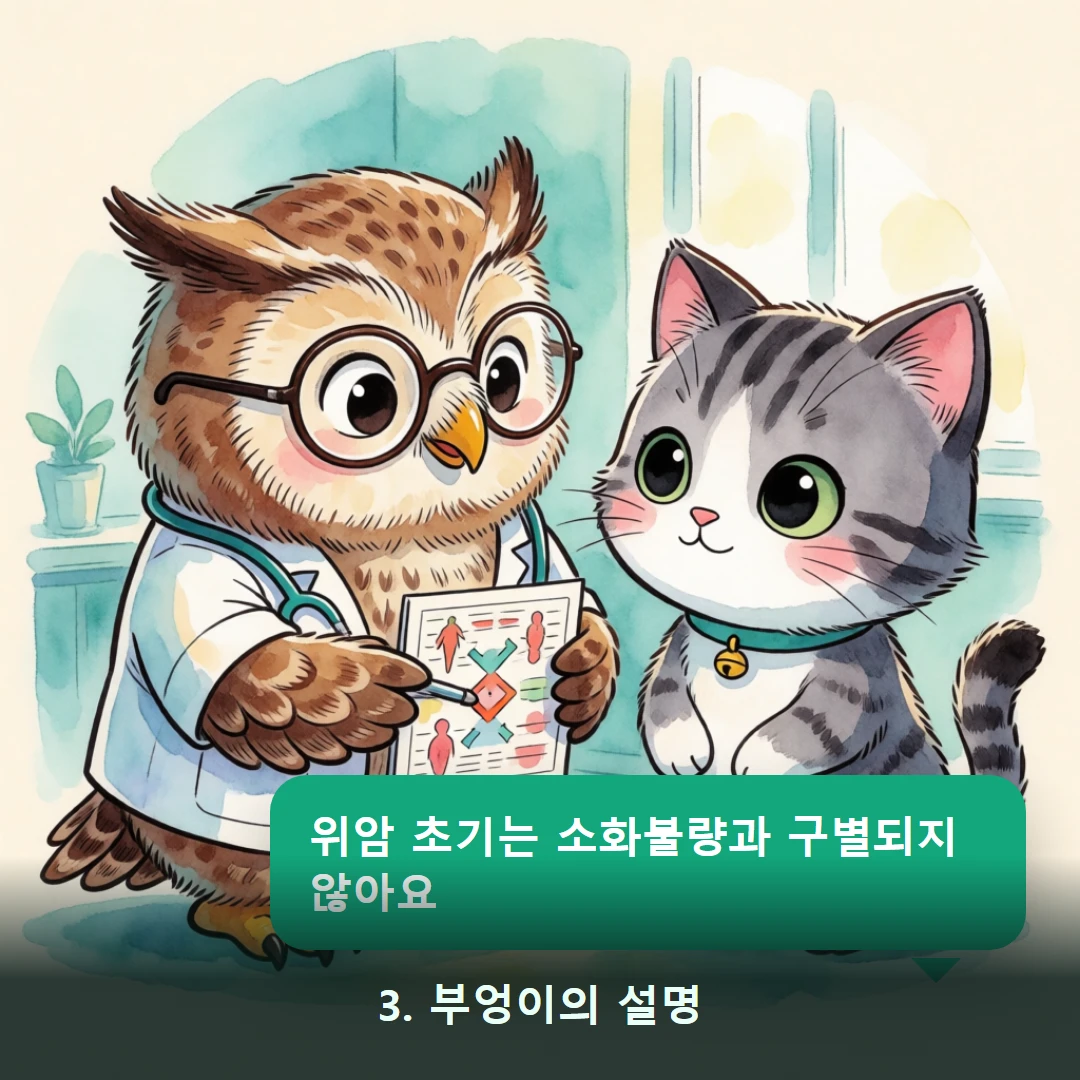 웹툰 3컷 — 3. 부엉이의 설명 (위암 초기는 소화불량과 구별되지 않아요)