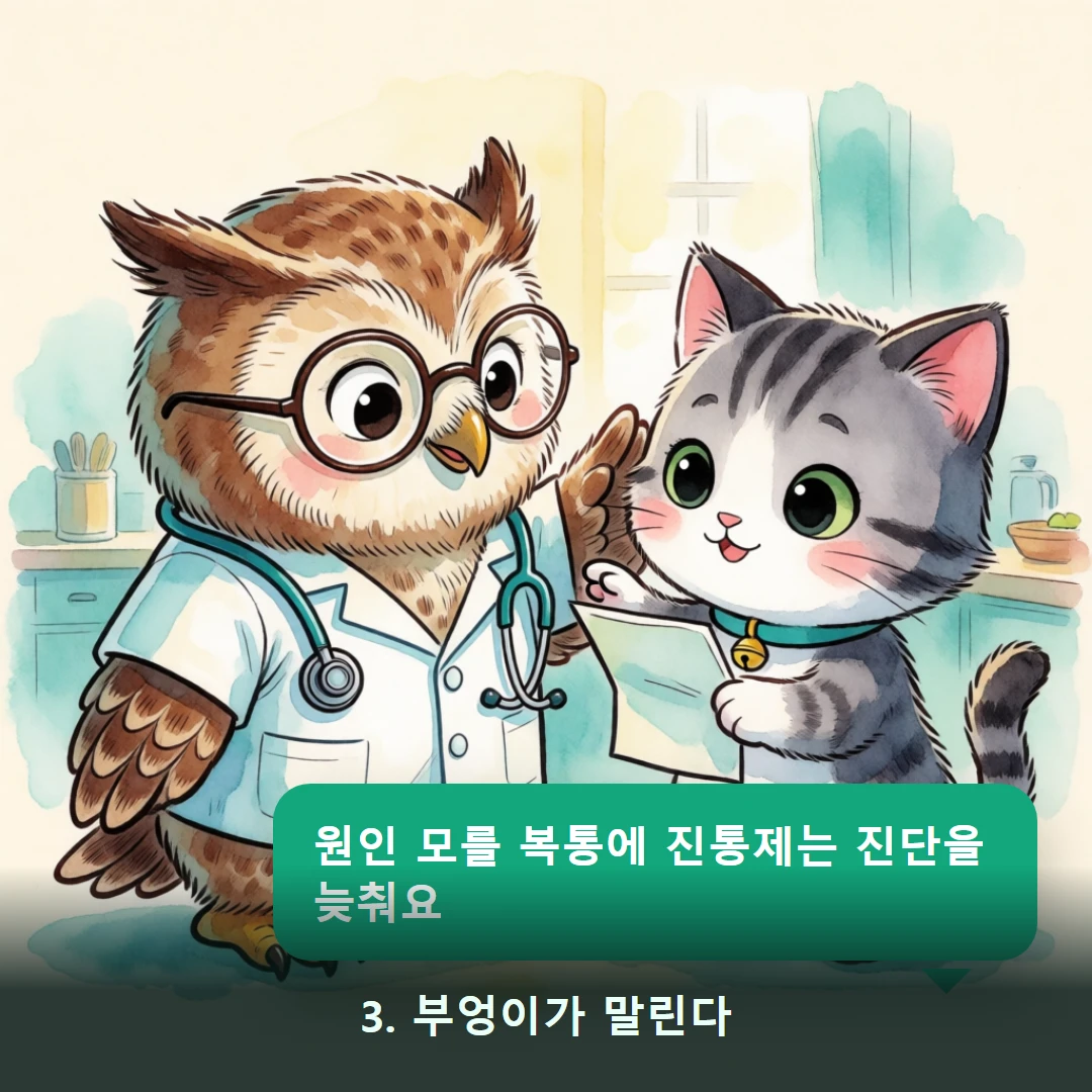 웹툰 3컷 — 3. 부엉이가 말린다 (원인 모를 복통에 진통제는 진단을 늦춰요)