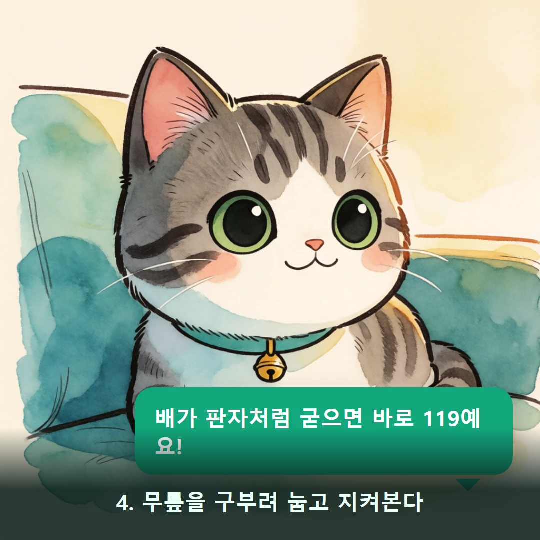 웹툰 4컷 — 4. 무릎을 구부려 눕고 지켜본다 (배가 판자처럼 굳으면 바로 119예요!)