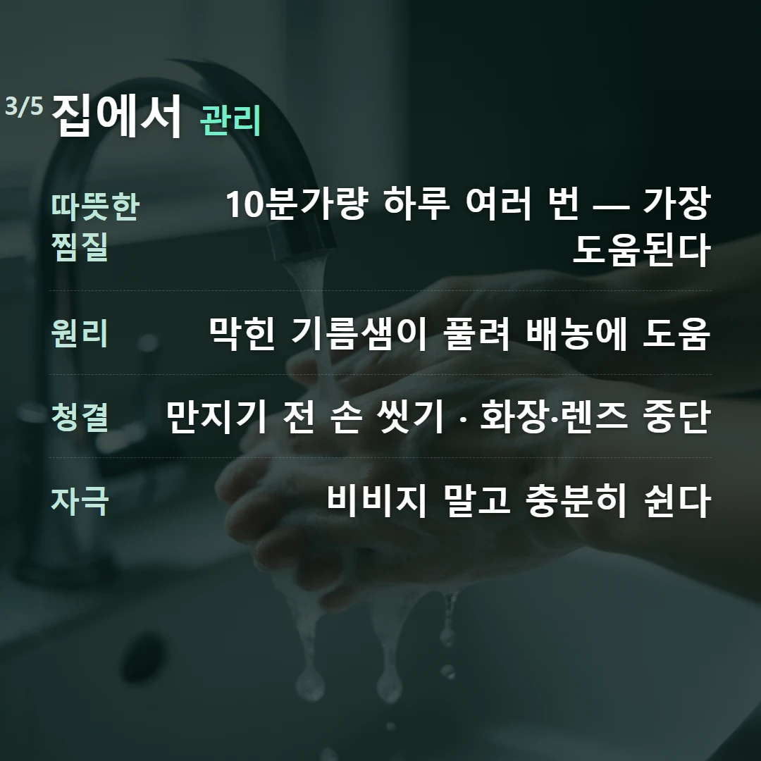 집에서 관리 — 따뜻한 찜질 10분가량 하루 여러 번 — 가장 도움된다, 원리 막힌 기름샘이 풀려 배농에 도움, 청결 만지기 전 손 씻기 · 화장·렌즈 중단, 자극 비비지 말고 충분히 쉰다
