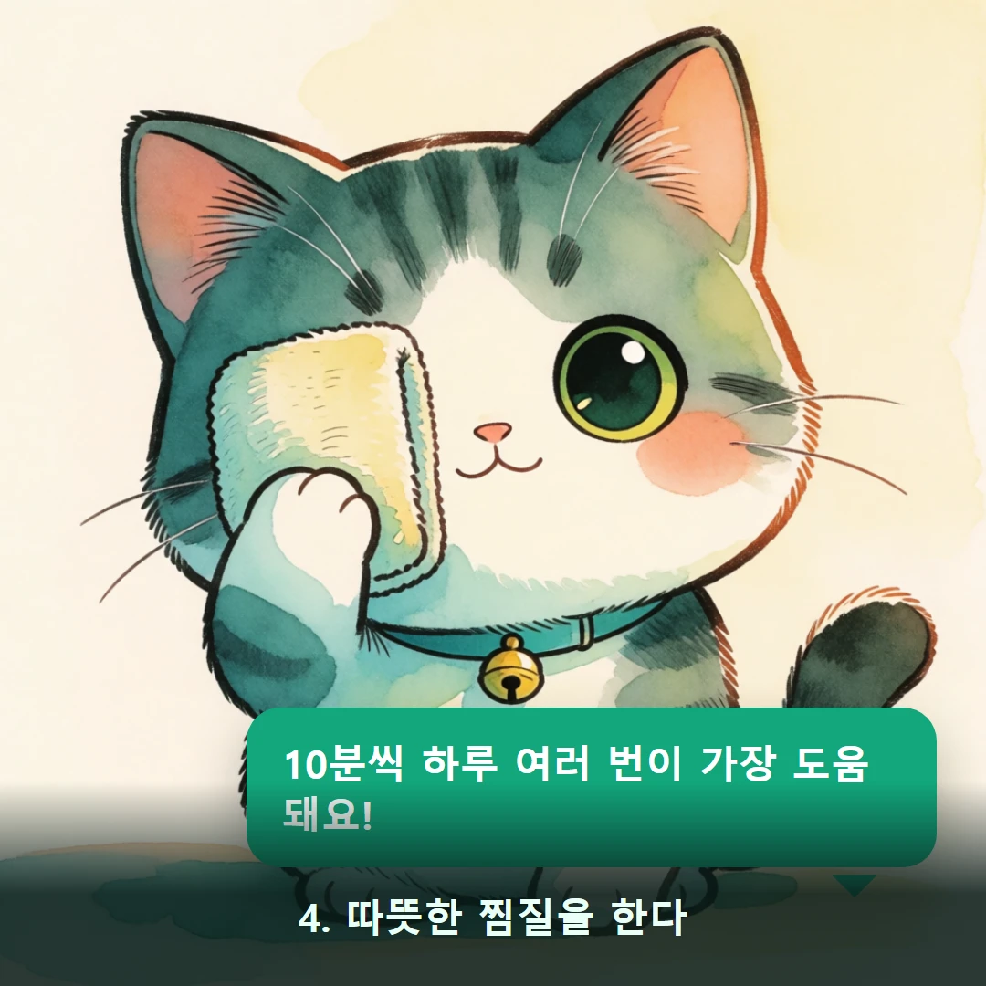 웹툰 4컷 — 4. 따뜻한 찜질을 한다 (10분씩 하루 여러 번이 가장 도움돼요!)