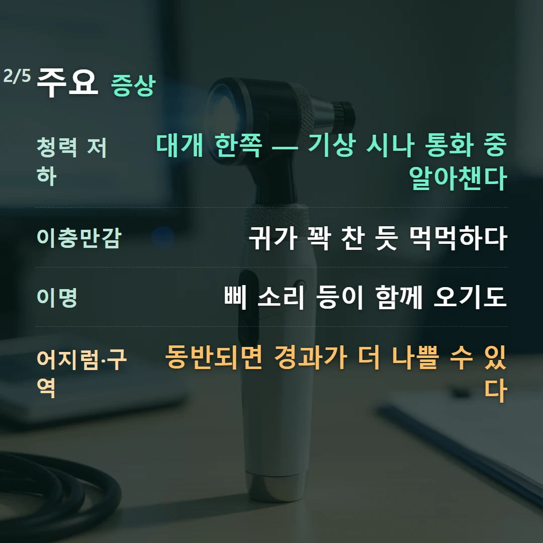 주요 증상 — 청력 저하 대개 한쪽 — 기상 시나 통화 중 알아챈다, 이충만감 귀가 꽉 찬 듯 먹먹하다, 이명 삐 소리 등이 함께 오기도, 어지럼·구역 동반되면 경과가 더 나쁠 수 있다
