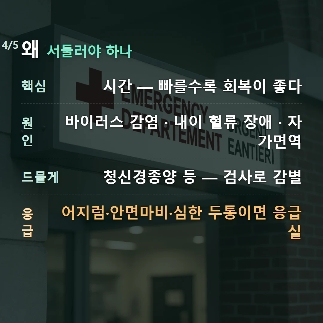 왜 서둘러야 하나 — 핵심 시간 — 빠를수록 회복이 좋다, 원인 바이러스 감염 · 내이 혈류 장애 · 자가면역, 드물게 청신경종양 등 — 검사로 감별, 응급 어지럼·안면마비·심한 두통이면 응급실