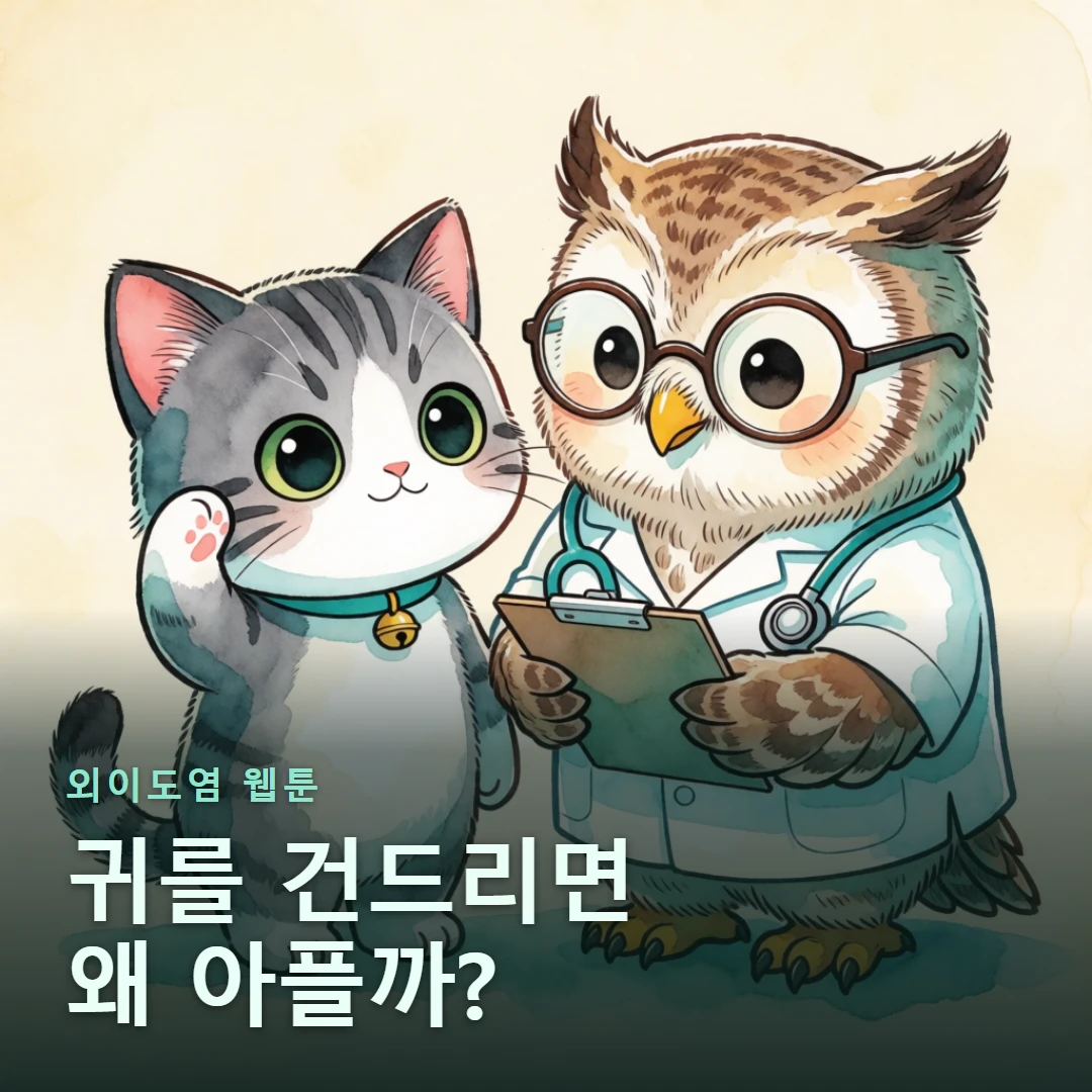 외이도염 웹툰 표지 — 귀를 건드리면 왜 아플까?
