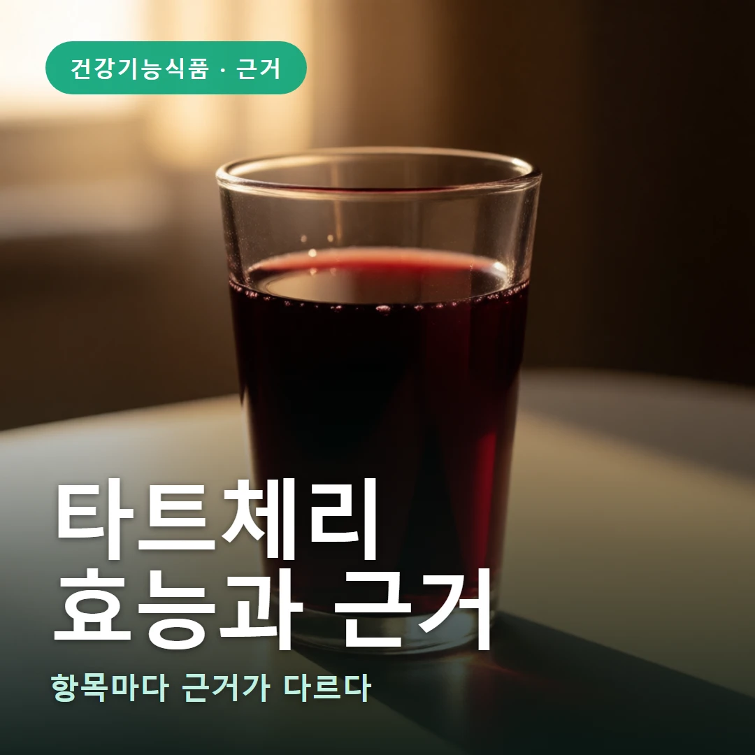 타트체리 요약 표지 — 항목마다 근거가 다르다