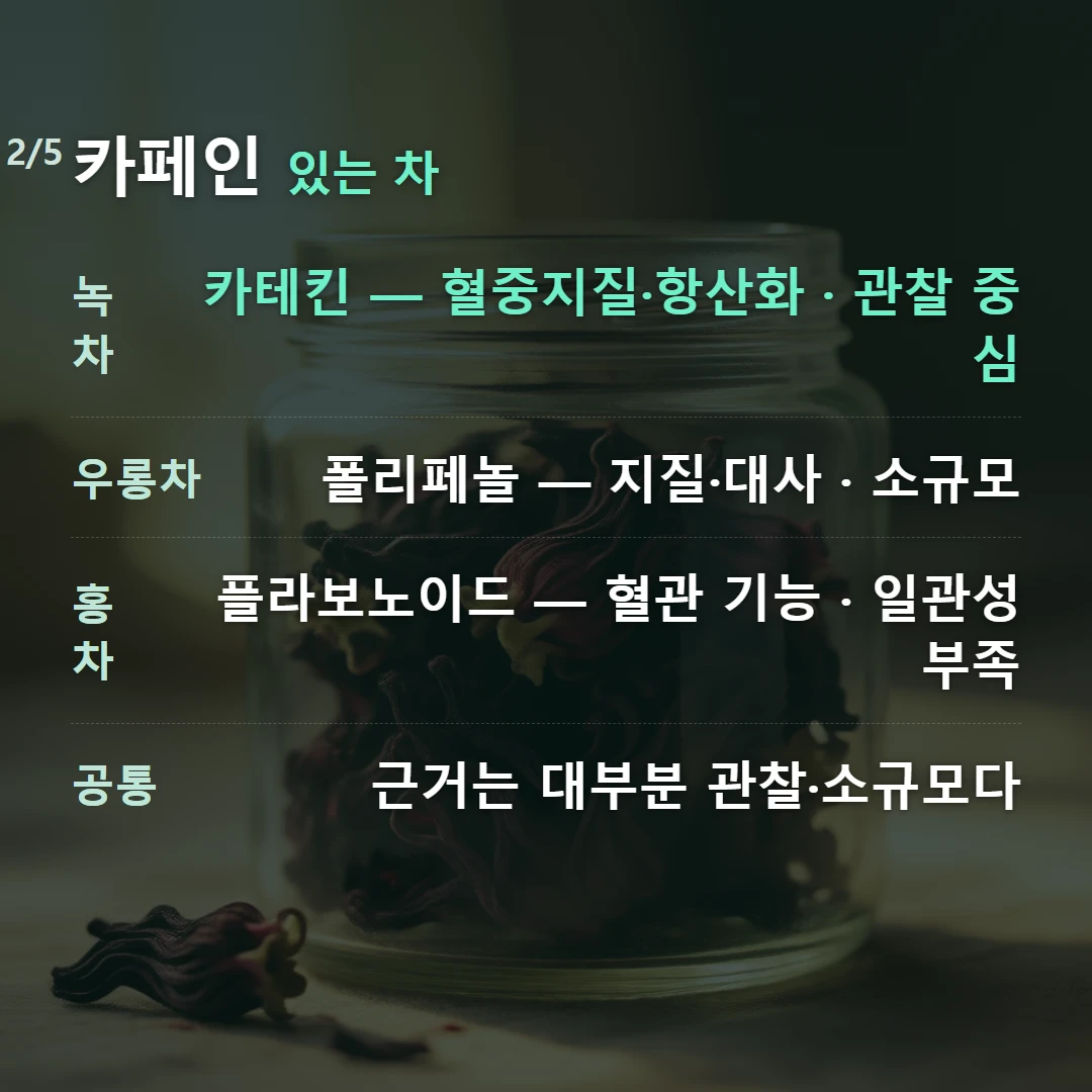 카페인 있는 차 — 녹차 카테킨 — 혈중지질·항산화 · 관찰 중심, 우롱차 폴리페놀 — 지질·대사 · 소규모, 홍차 플라보노이드 — 혈관 기능 · 일관성 부족, 공통 근거는 대부분 관찰·소규모다