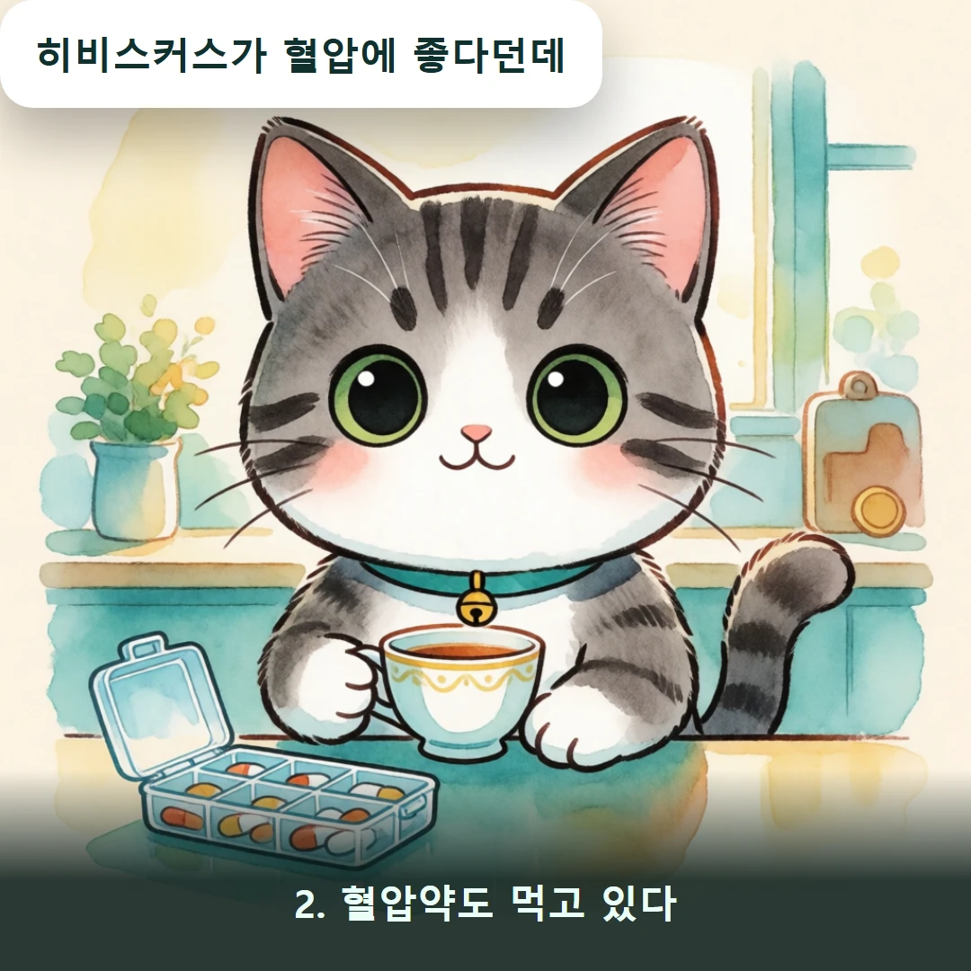 웹툰 2컷 — 2. 혈압약도 먹고 있다 (히비스커스가 혈압에 좋다던데)