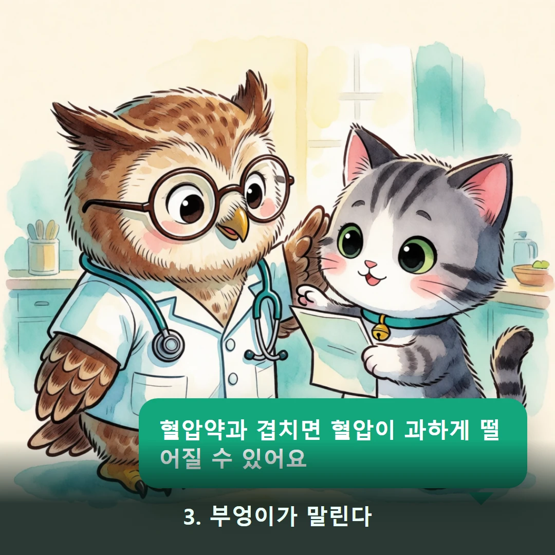 웹툰 3컷 — 3. 부엉이가 말린다 (혈압약과 겹치면 혈압이 과하게 떨어질 수 있어요)