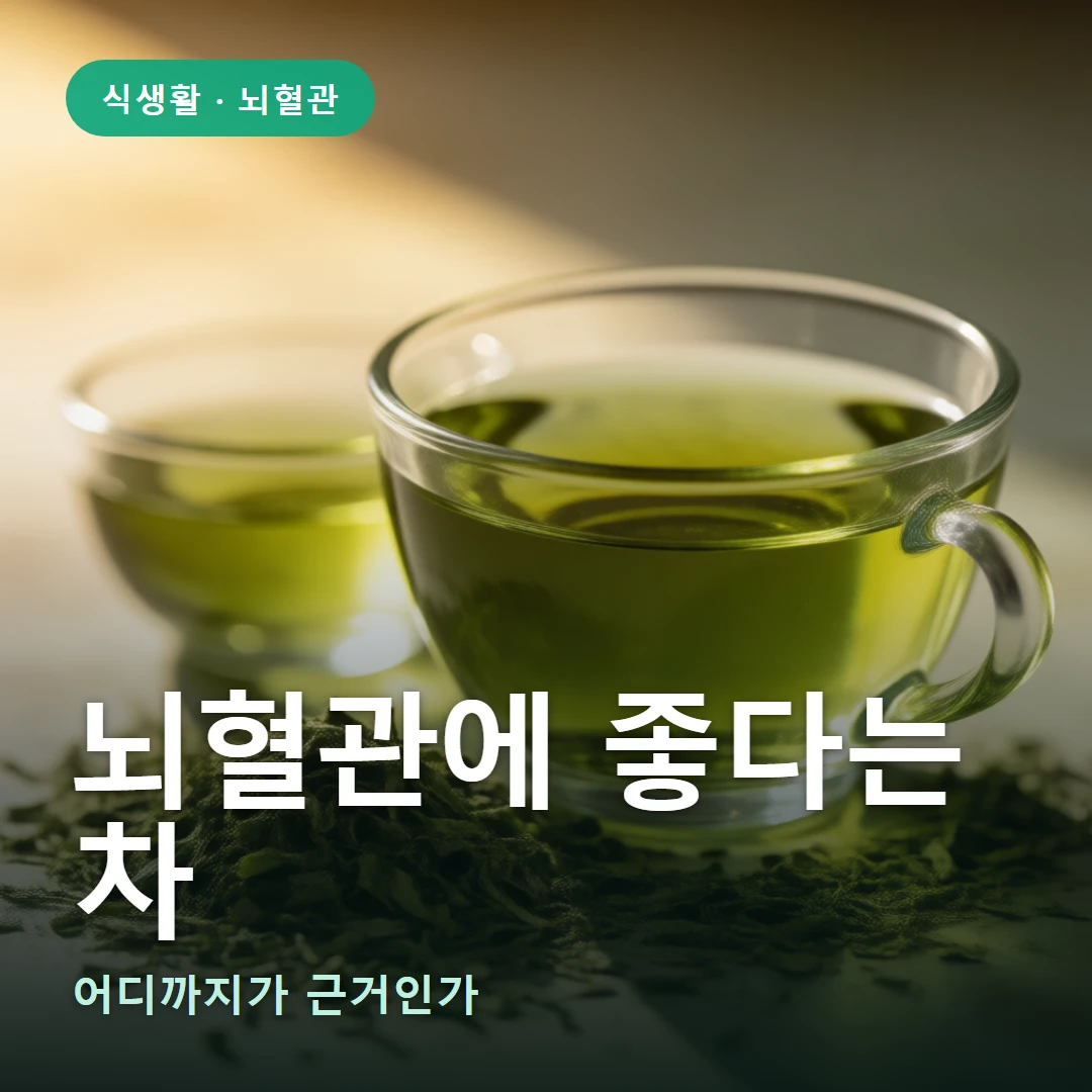 뇌혈관에 좋다는 차 요약 표지 — 어디까지가 근거인가