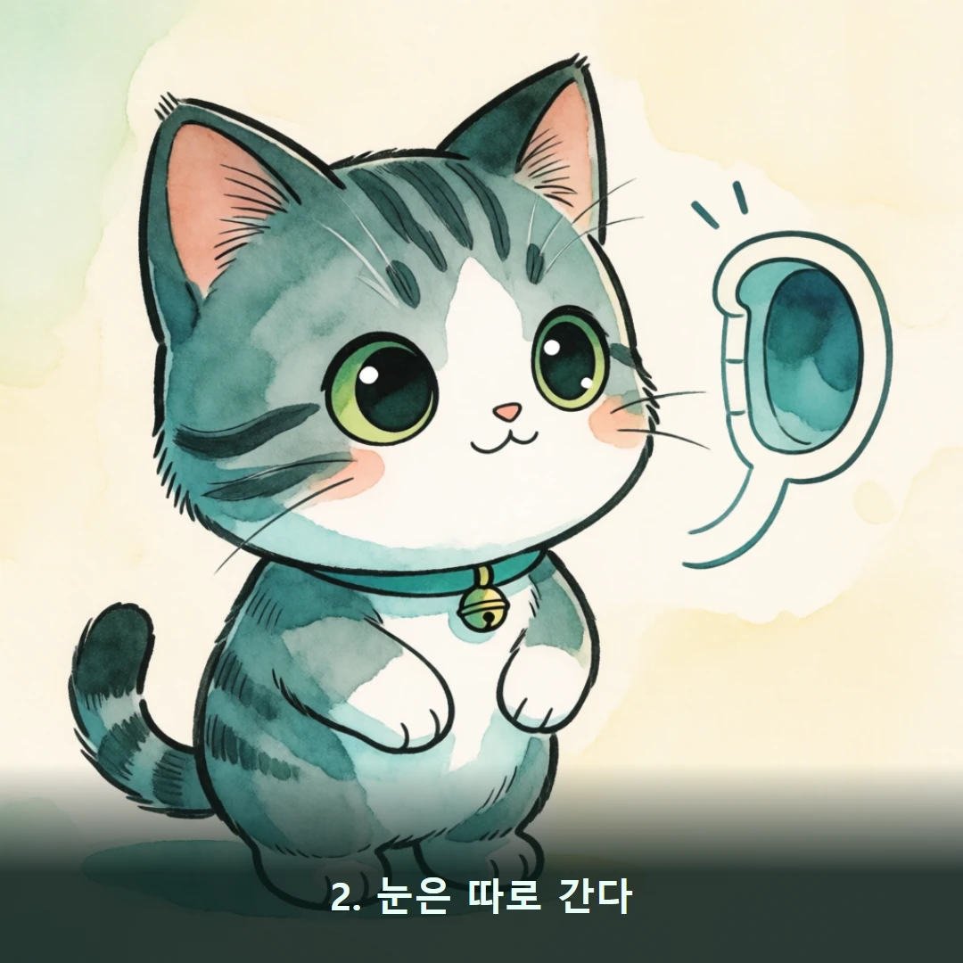 웹툰 2컷 — 2. 눈은 따로 간다