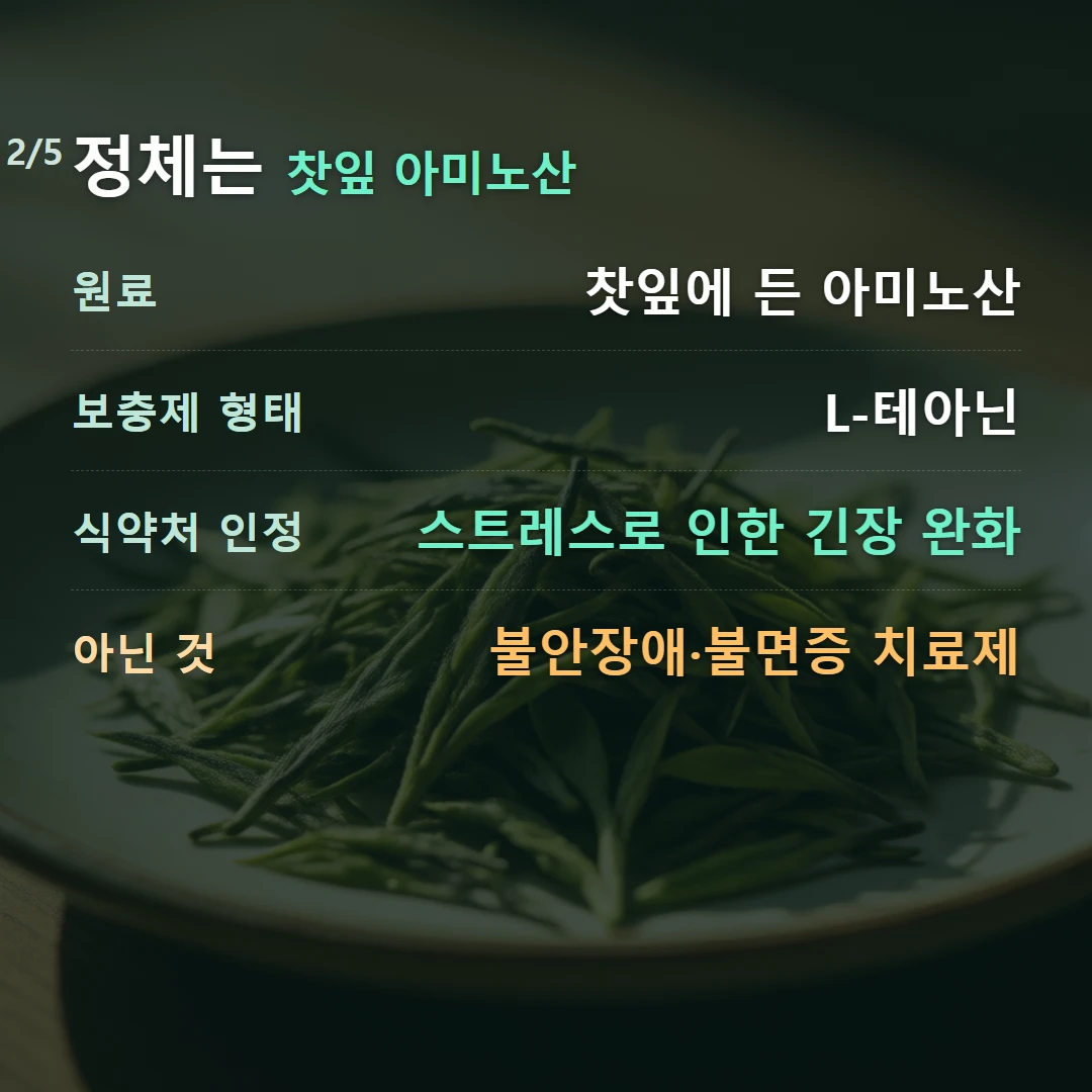정체는 찻잎 아미노산 — 원료 찻잎에 든 아미노산, 보충제 형태 L-테아닌, 식약처 인정 스트레스로 인한 긴장 완화, 아닌 것 불안장애·불면증 치료제