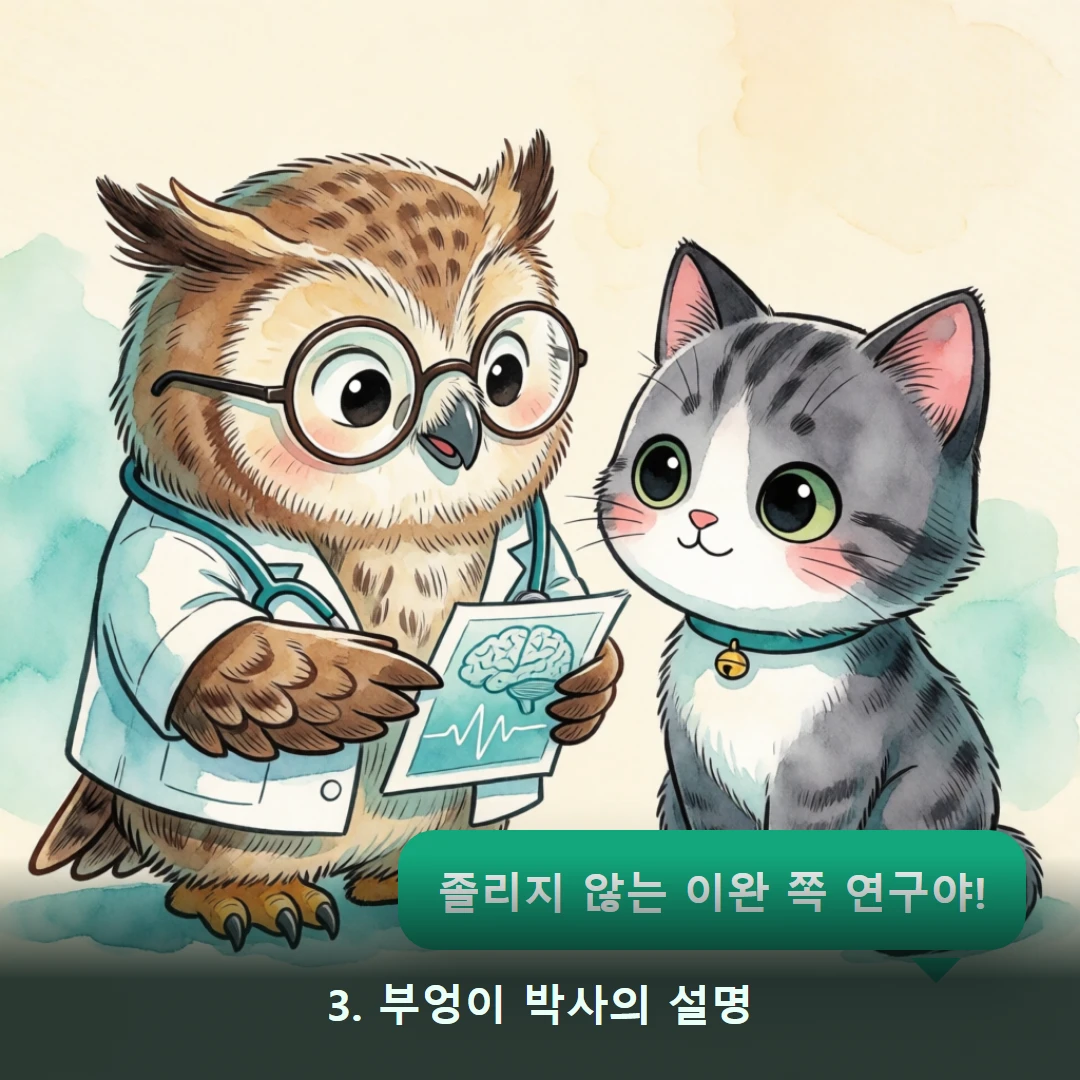 웹툰 3컷 — 3. 부엉이 박사의 설명 (졸리지 않는 이완 쪽 연구야!)