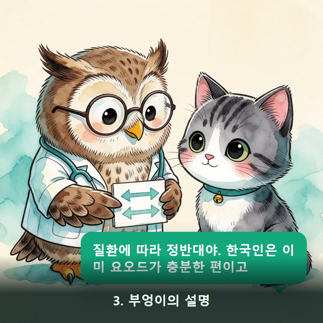 웹툰 3컷 — 3. 부엉이의 설명 (질환에 따라 정반대야. 한국인은 이미 요오드가 충분한 편이고)