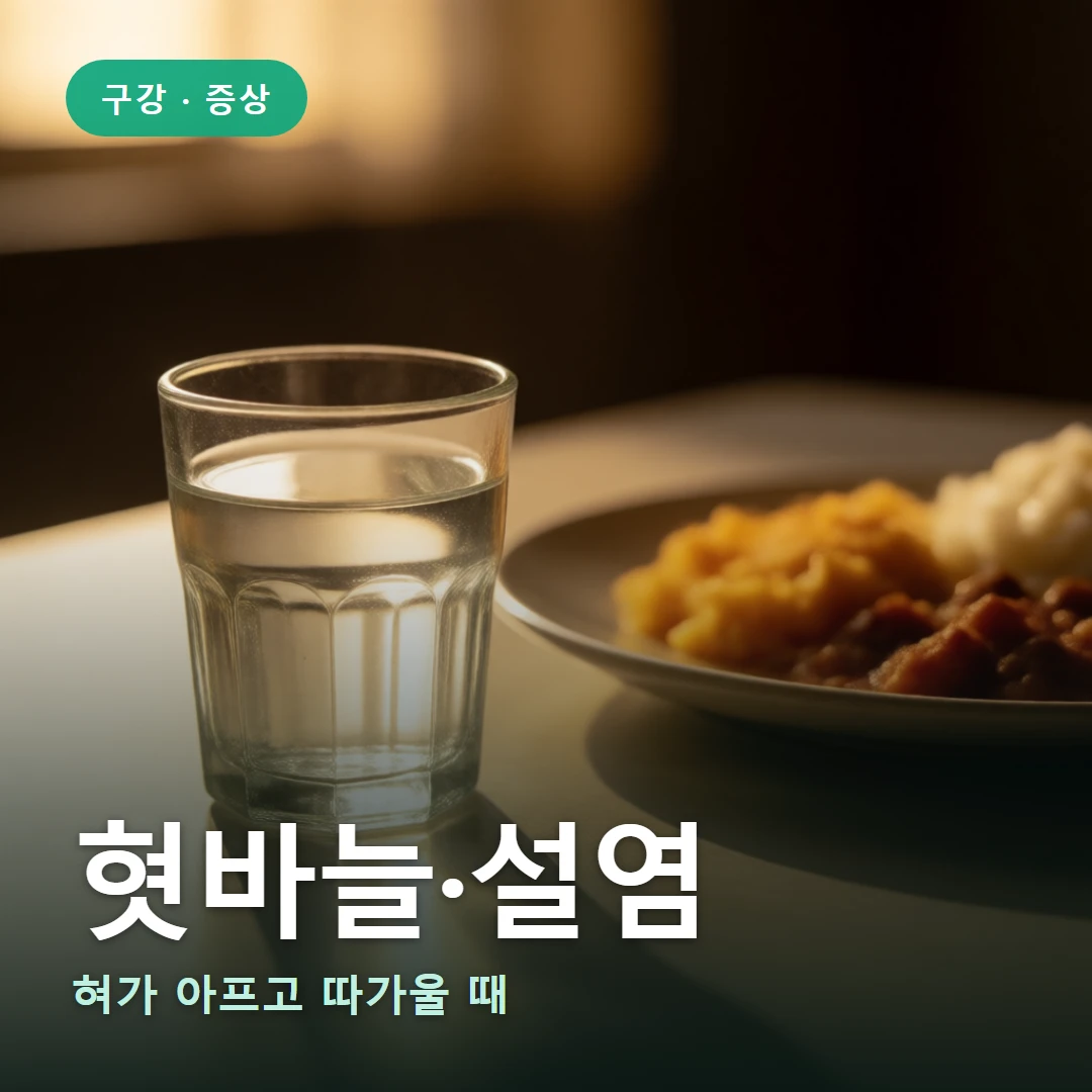 혓바늘·설염 요약 표지 — 혀가 아프고 따가울 때