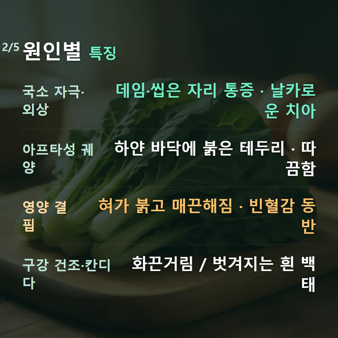 원인별 특징 — 국소 자극·외상 데임·씹은 자리 통증 · 날카로운 치아, 아프타성 궤양 하얀 바닥에 붉은 테두리 · 따끔함, 영양 결핍 혀가 붉고 매끈해짐 · 빈혈감 동반, 구강 건조·칸디다 화끈거림 / 벗겨지는 흰 백태