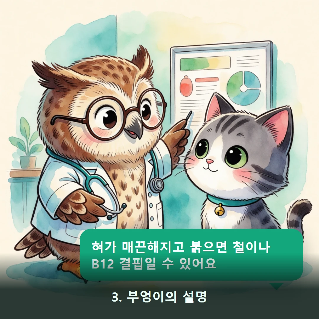 웹툰 3컷 — 3. 부엉이의 설명 (혀가 매끈해지고 붉으면 철이나 B12 결핍일 수 있어요)