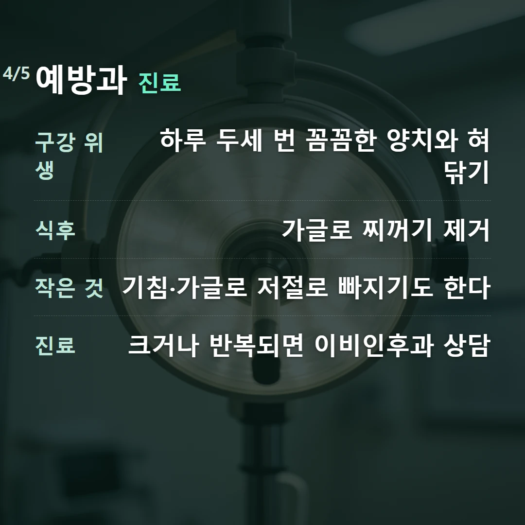 예방과 진료 — 구강 위생 하루 두세 번 꼼꼼한 양치와 혀 닦기, 식후 가글로 찌꺼기 제거, 작은 것 기침·가글로 저절로 빠지기도 한다, 진료 크거나 반복되면 이비인후과 상담