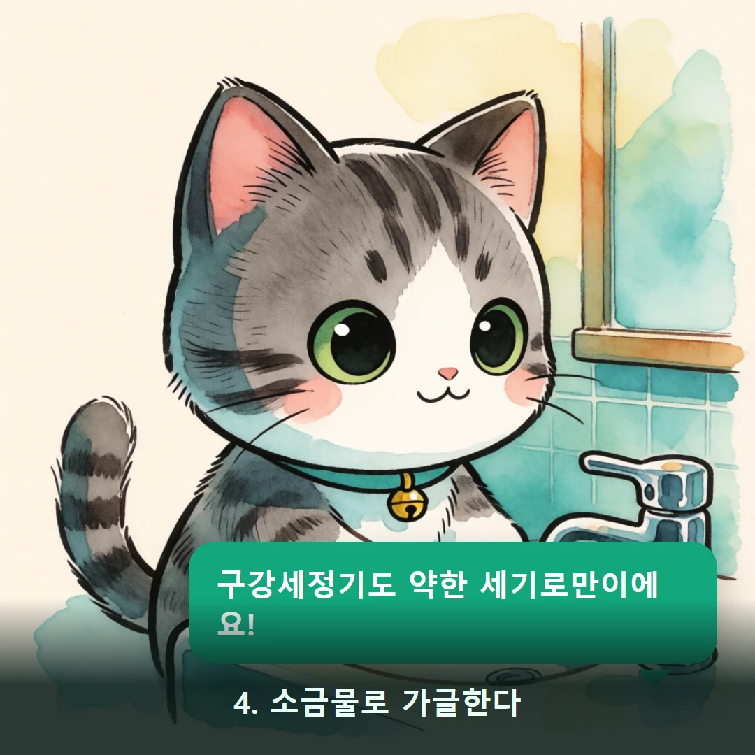 웹툰 4컷 — 4. 소금물로 가글한다 (구강세정기도 약한 세기로만이에요!)
