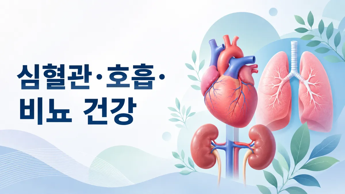 심혈관·호흡·비뇨 건강