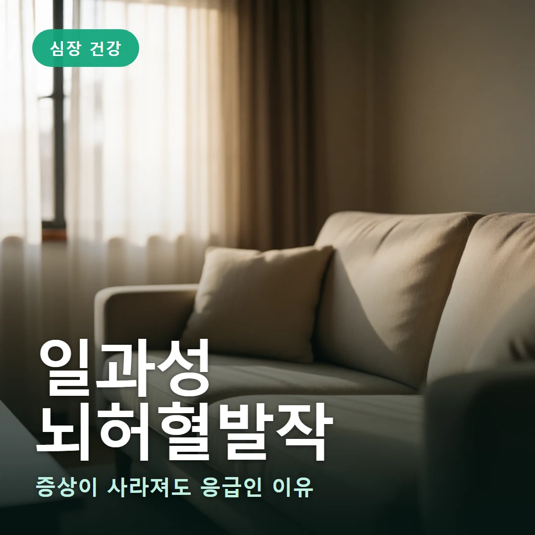 일과성 뇌허혈발작 요약 표지 — 증상이 사라져도 응급인 이유