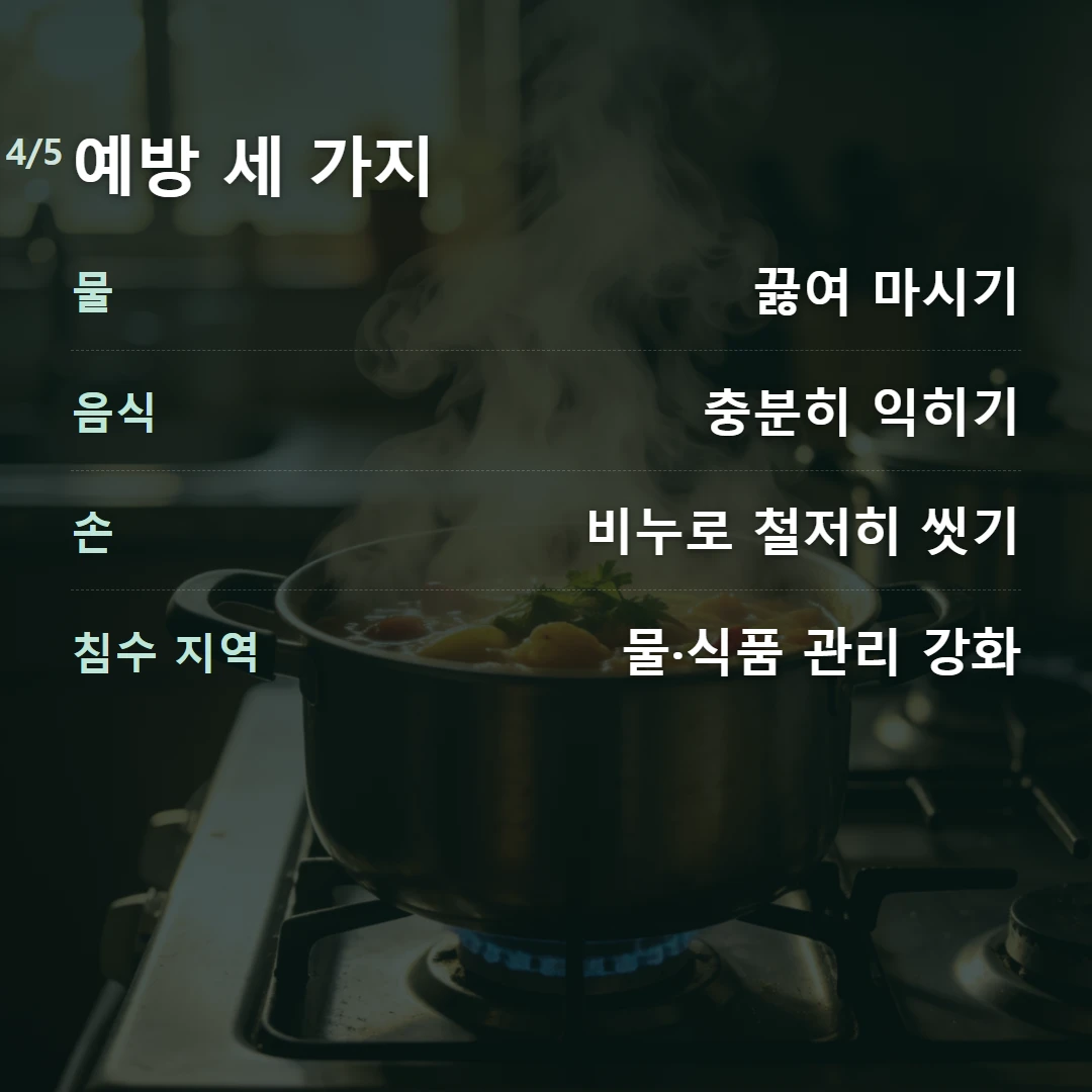 예방 세 가지 — 물 끓여 마시기, 음식 충분히 익히기, 손 비누로 철저히 씻기, 침수 지역 물·식품 관리 강화