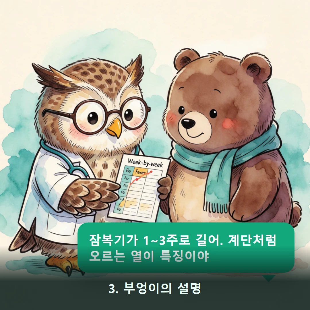 웹툰 3컷 — 3. 부엉이의 설명 (잠복기가 1~3주로 길어. 계단처럼 오르는 열이 특징이야)