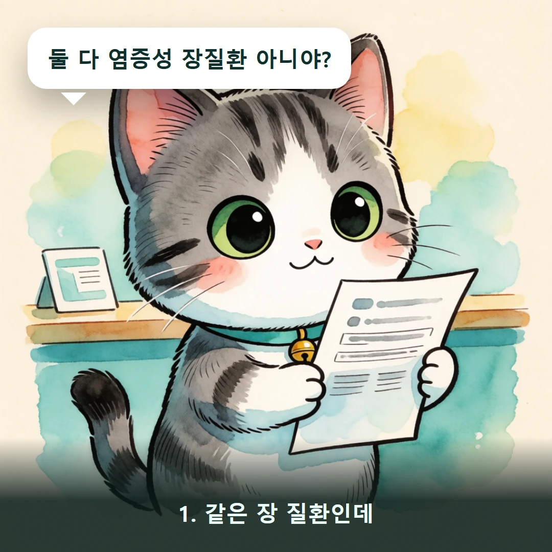 웹툰 1컷 — 1. 같은 장 질환인데 (둘 다 염증성 장질환 아니야?)